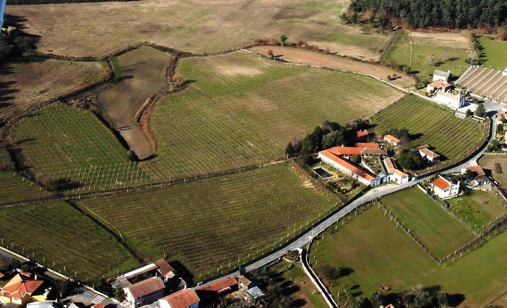 Quinta De Santa Baia Guest House Gaifar ภายนอก รูปภาพ